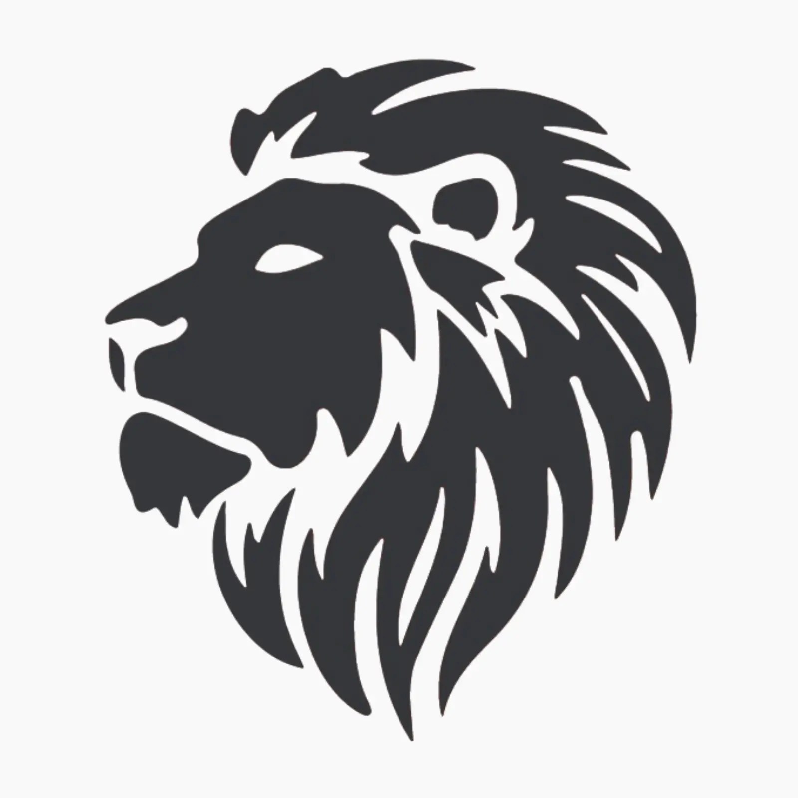 company info