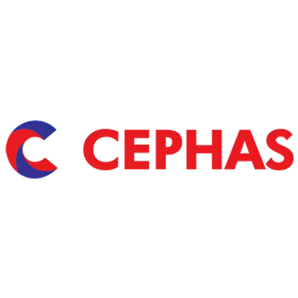 company info