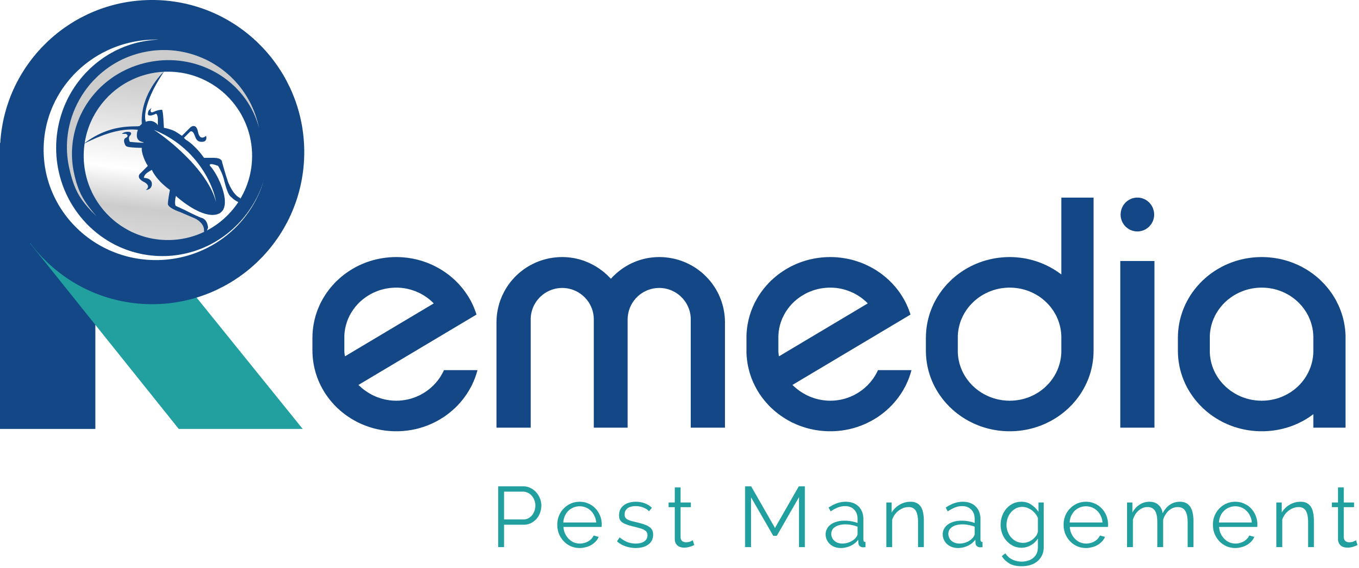 company info