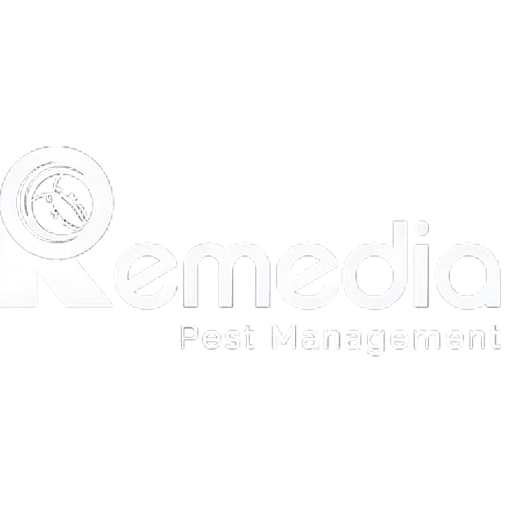 company info